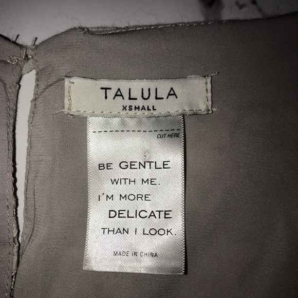 Aritzia Talula Oji Dress Floral Lace Fully Lined Size XS Short Sleeve Beige - Picture 4 of 6